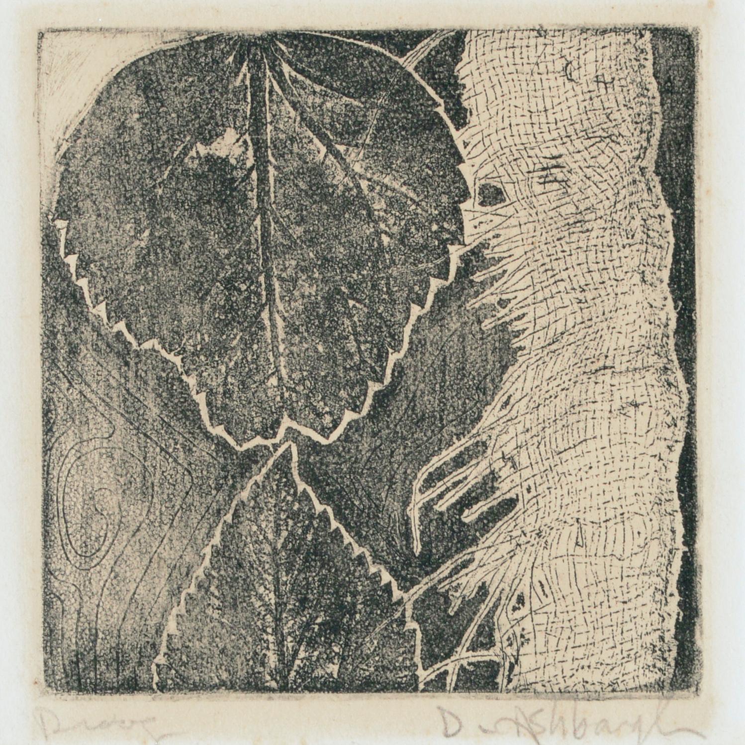 Leaf - Lithograph (Artist's Proof) - Print by Dennis John Ashbaugh