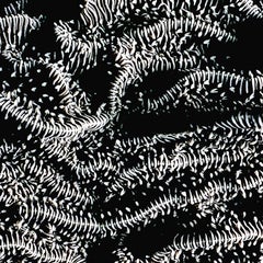 Brainiac by Dennis Sabo,  Black and White Abstract Photography, Metal Print,