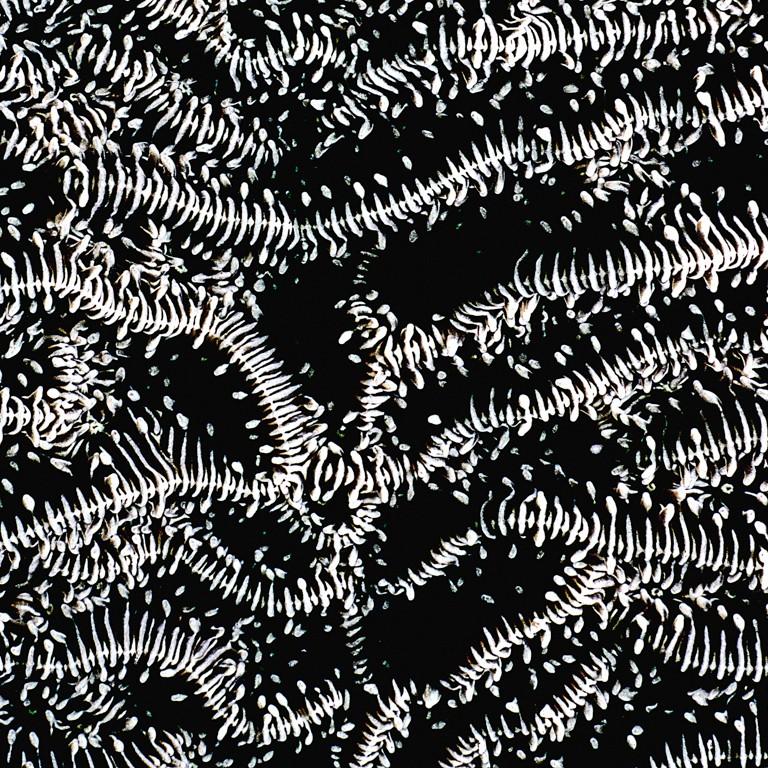 Black-and-white abstract microcosm of brain coral.

Limited Editions Series of 30.

Photographic metal print. Mid-gloss finish.

Metal prints are mounted on 2mm black Styrene with black edge and finished with a black metal inset frame and wire