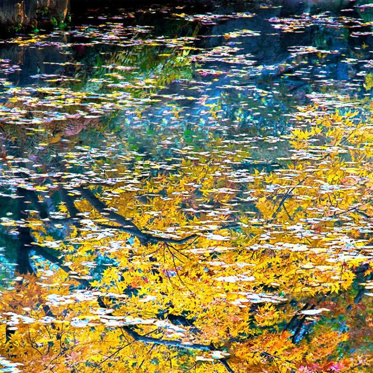 These landscapes of water and reflection have become an obsession. – Claude Monet

Autumn water reflections express the visual ebb and flow of nature’s inner secrets. An artist’s palette pales in comparison to nature’s own color scheme.  An autumn
