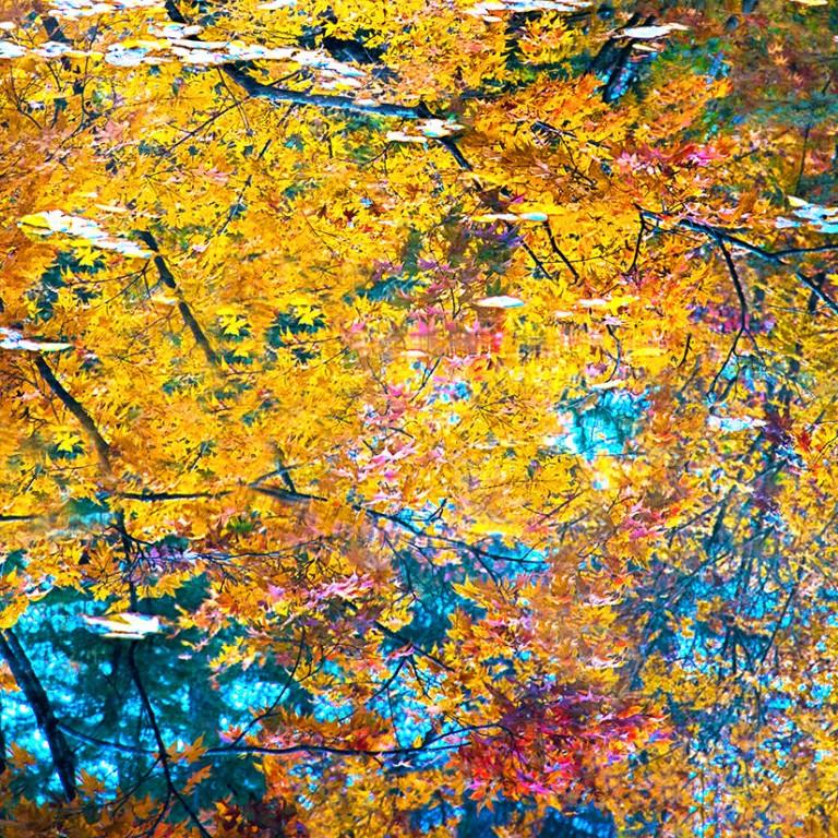 Monet's Dream by Dennis Sabo, Contemporary Abstract Photography  For Sale 3