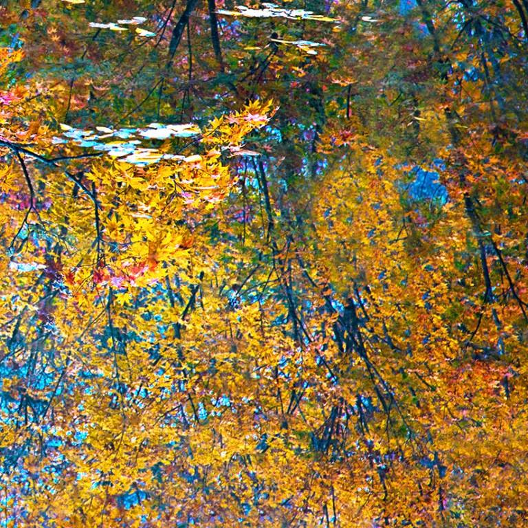 Monet's Dream by Dennis Sabo, Contemporary Abstract Photography  For Sale 4