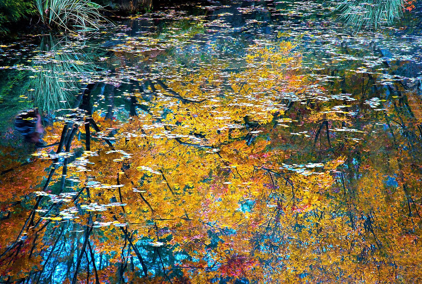 Monet's Dream by Dennis Sabo, Contemporary Abstract Photography 