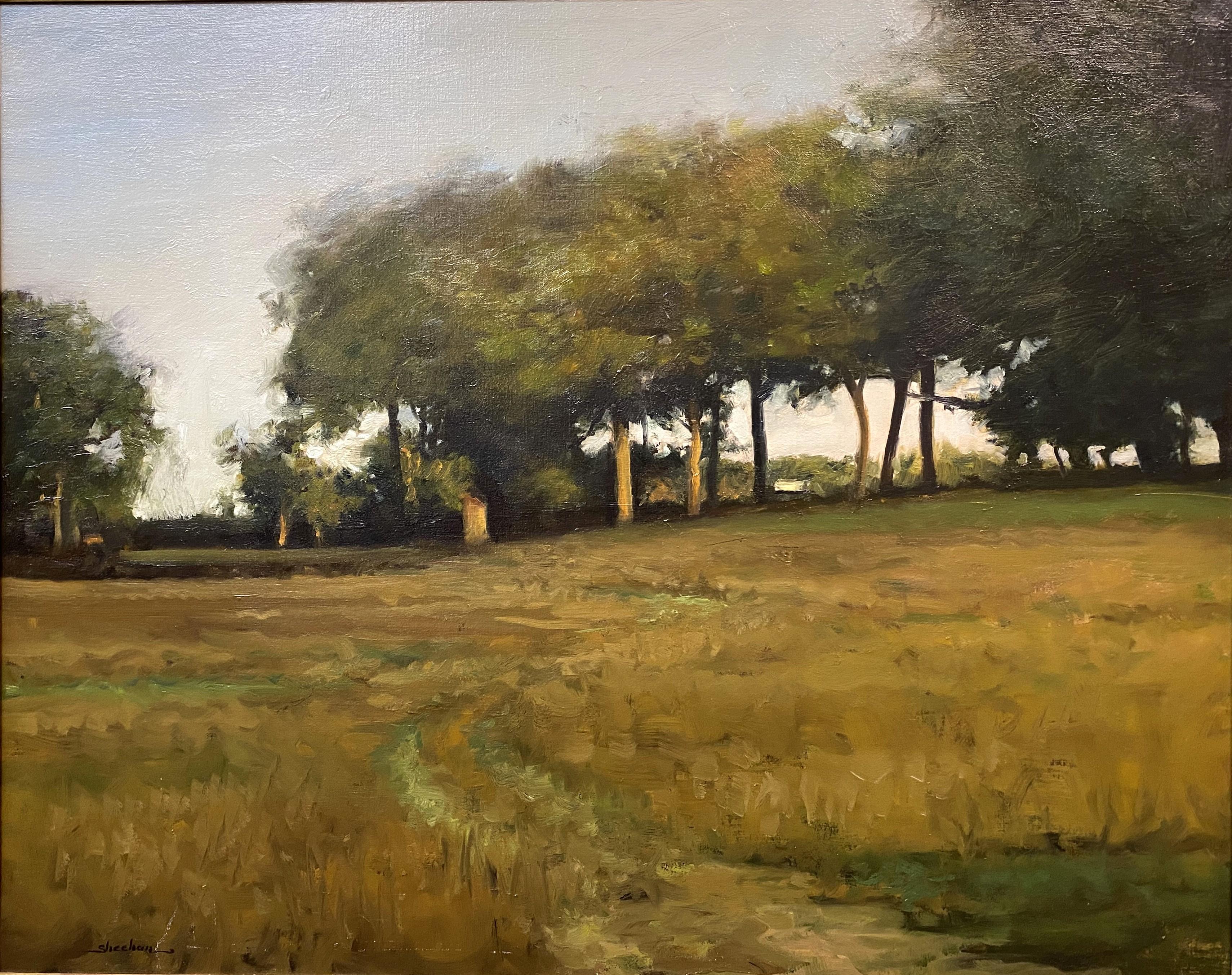 A Field with Trees & Path - Painting by Dennis Sheehan