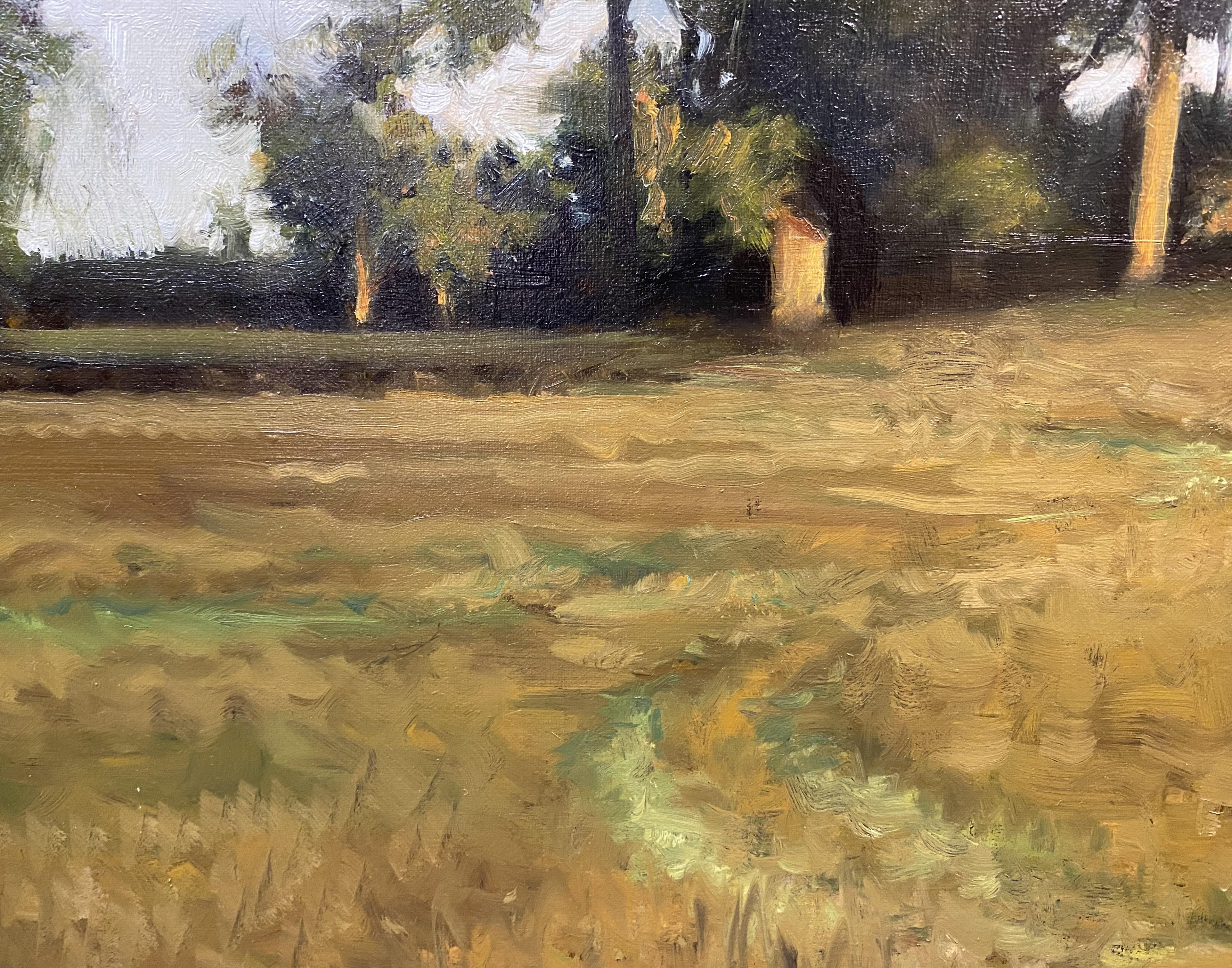 A Field with Trees & Path - Brown Landscape Painting by Dennis Sheehan