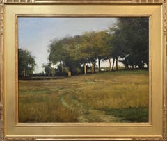 Un campo con alberi e sentiero