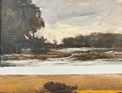 "Le stagioni che cambiano" Dennis Sheehan, Crepuscolo, Tramonto, Scena innevata, Riflessi di luce