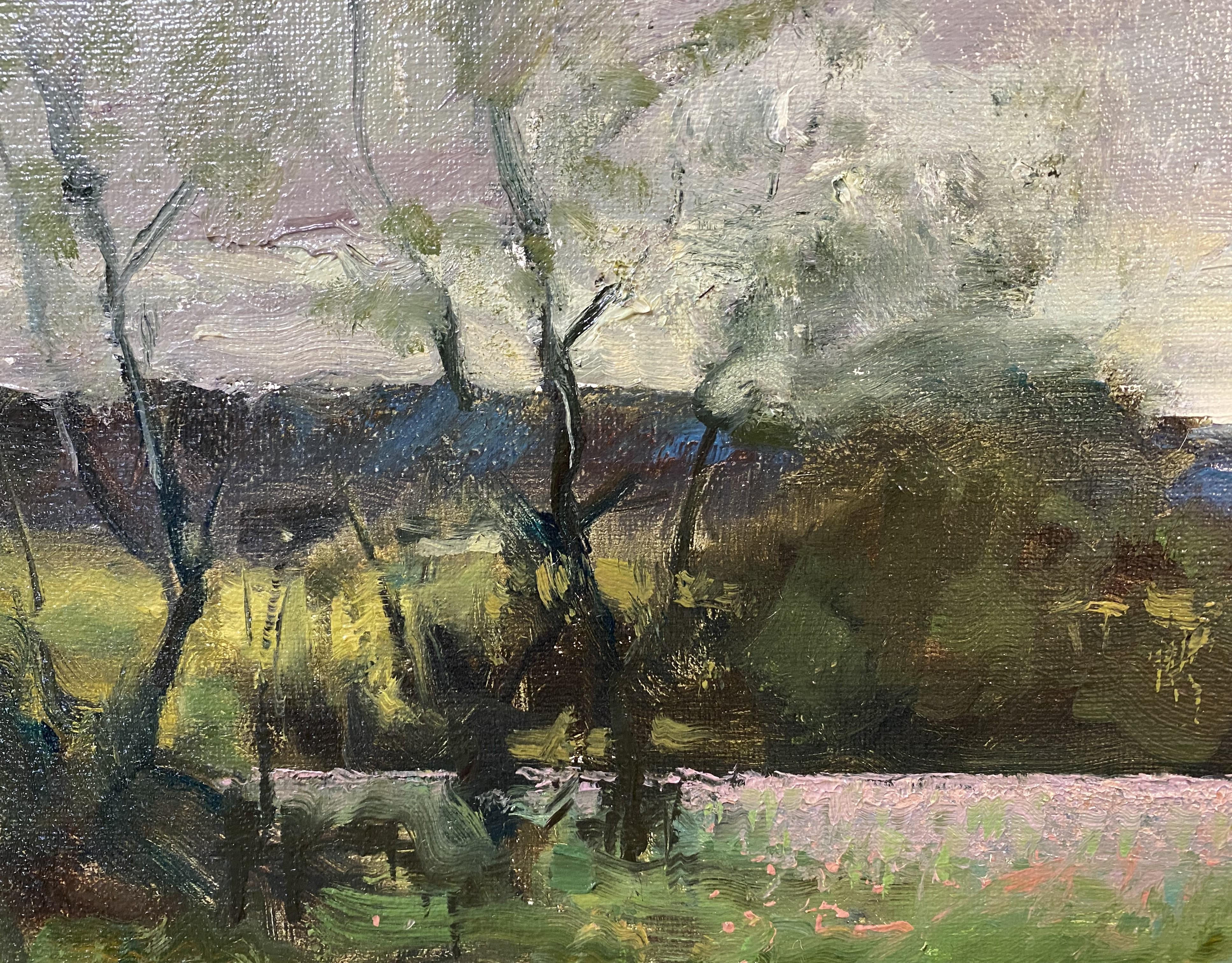 Campi di papaveri in vendita 1