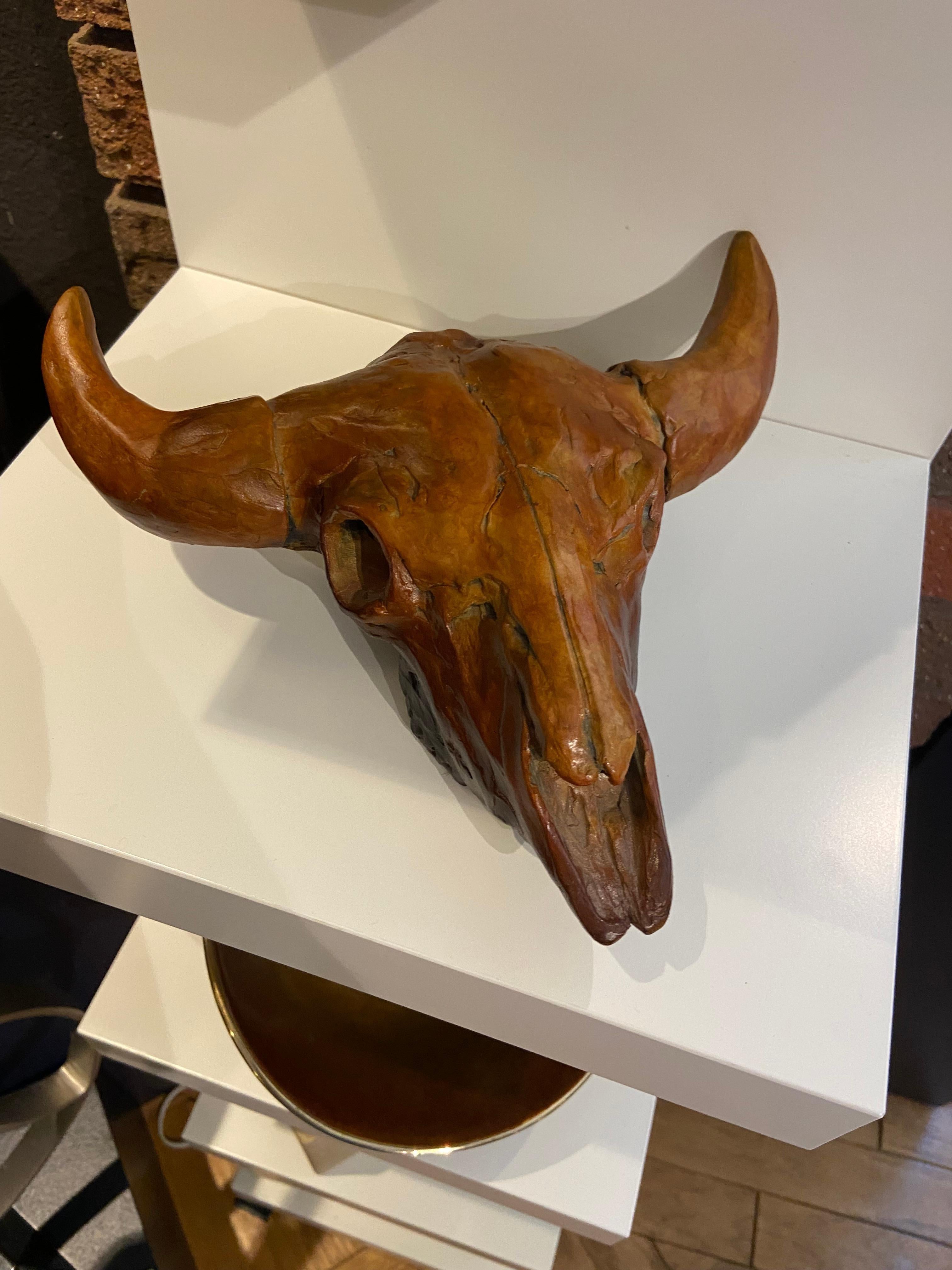 petrified buffalo skull value