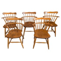 Sedie per la sala da pranzo