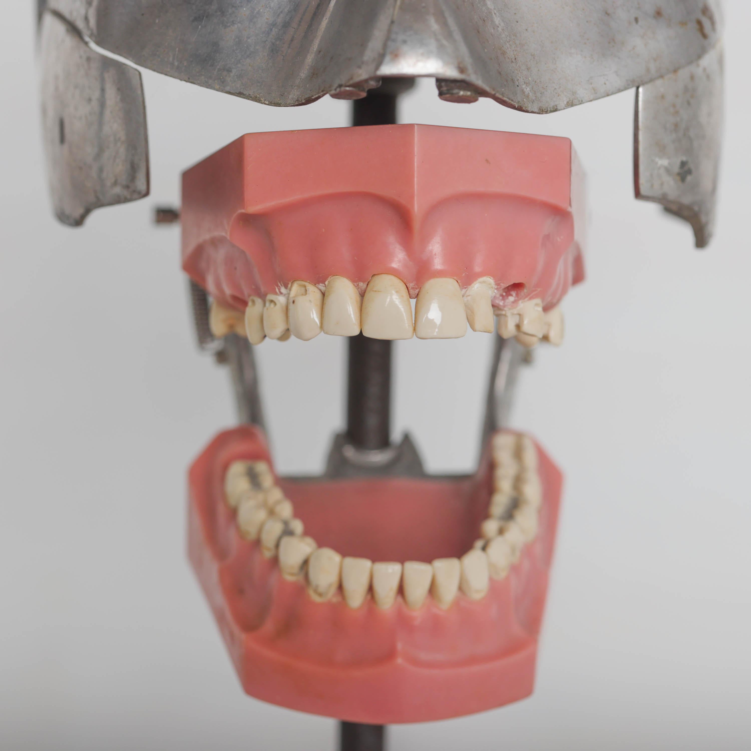 Dental Phantom Head Model with Rubber Head Mask 4