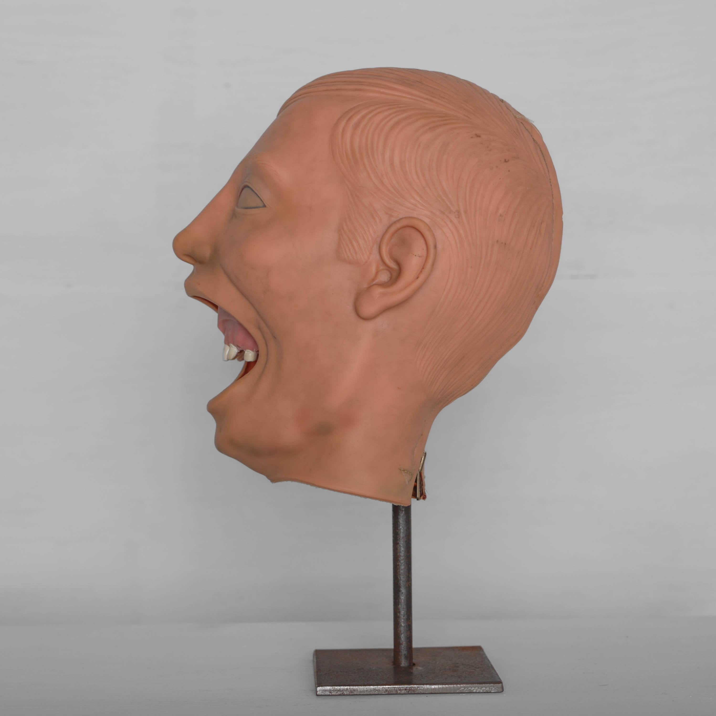 Dental Phantom Head Model with Rubber Head Mask 10