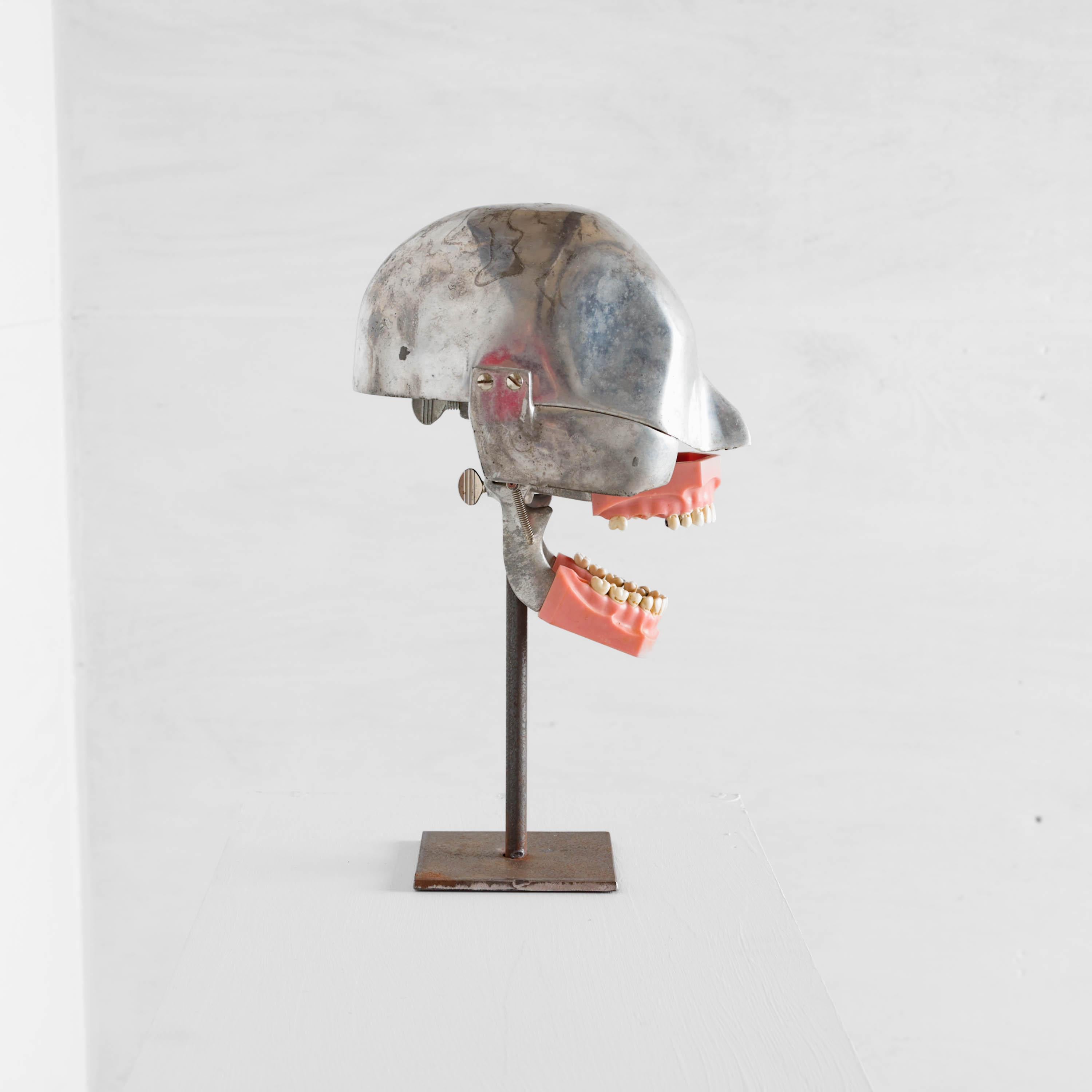 20ième siècle Modèle dentaire de tête de phénix avec masque de tête en caoutchouc