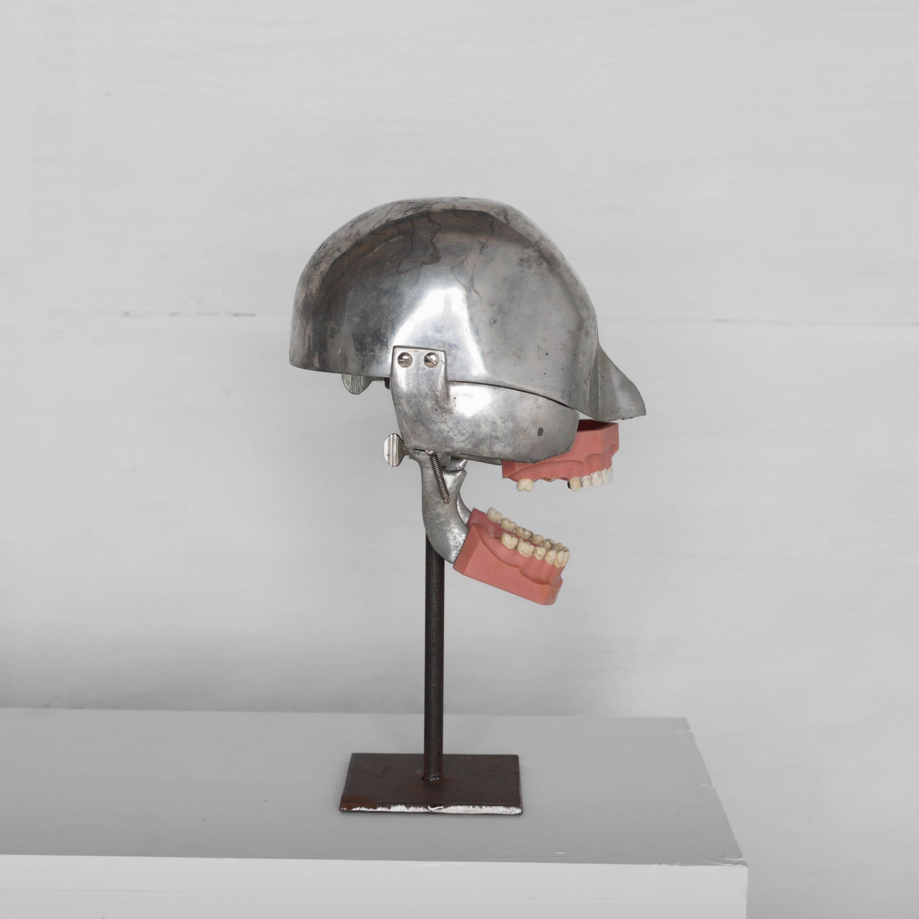 Aluminum Dental Phantom Head Model with Rubber Head Mask