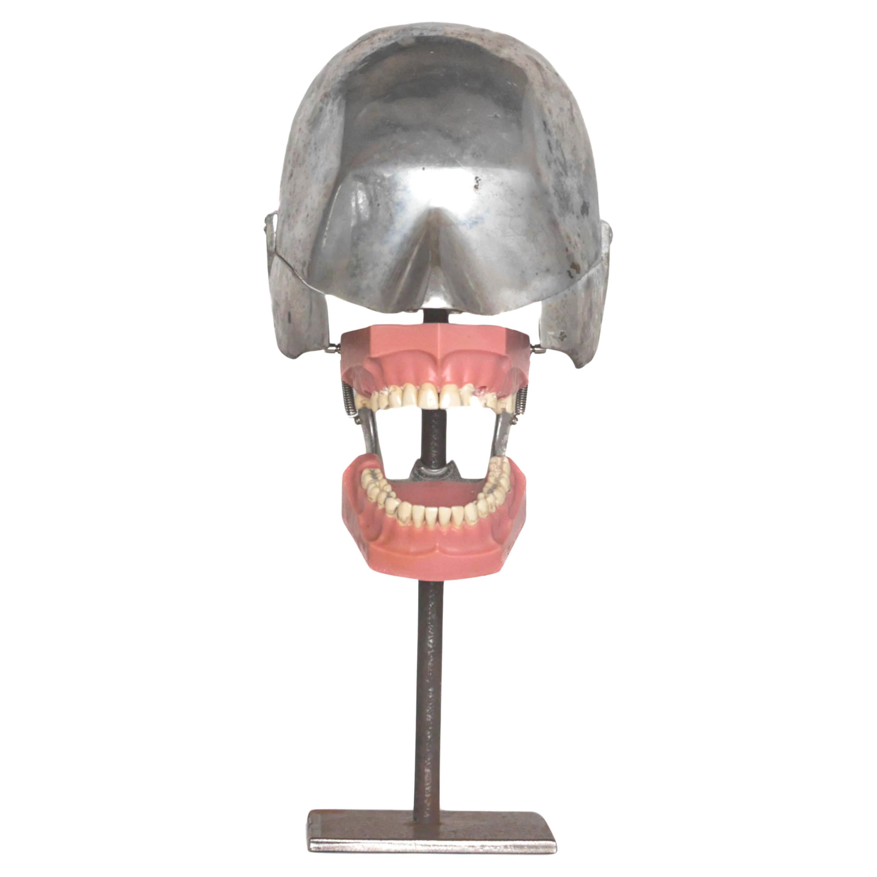 Modèle dentaire de tête de phénix avec masque de tête en caoutchouc