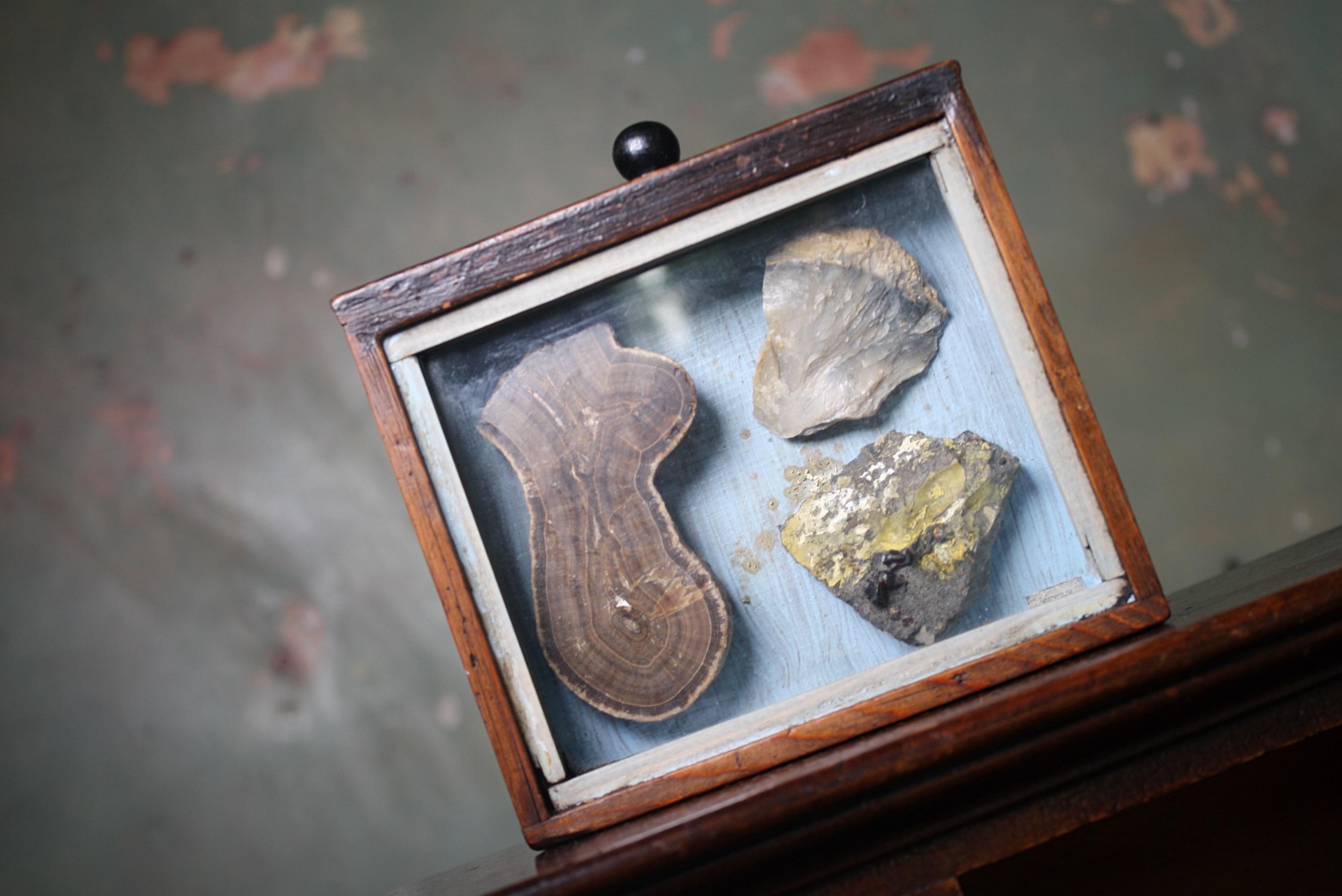 Denver Colorado D C Woodend, 1885 Table Top Geology Mineral Specimen Chest 4