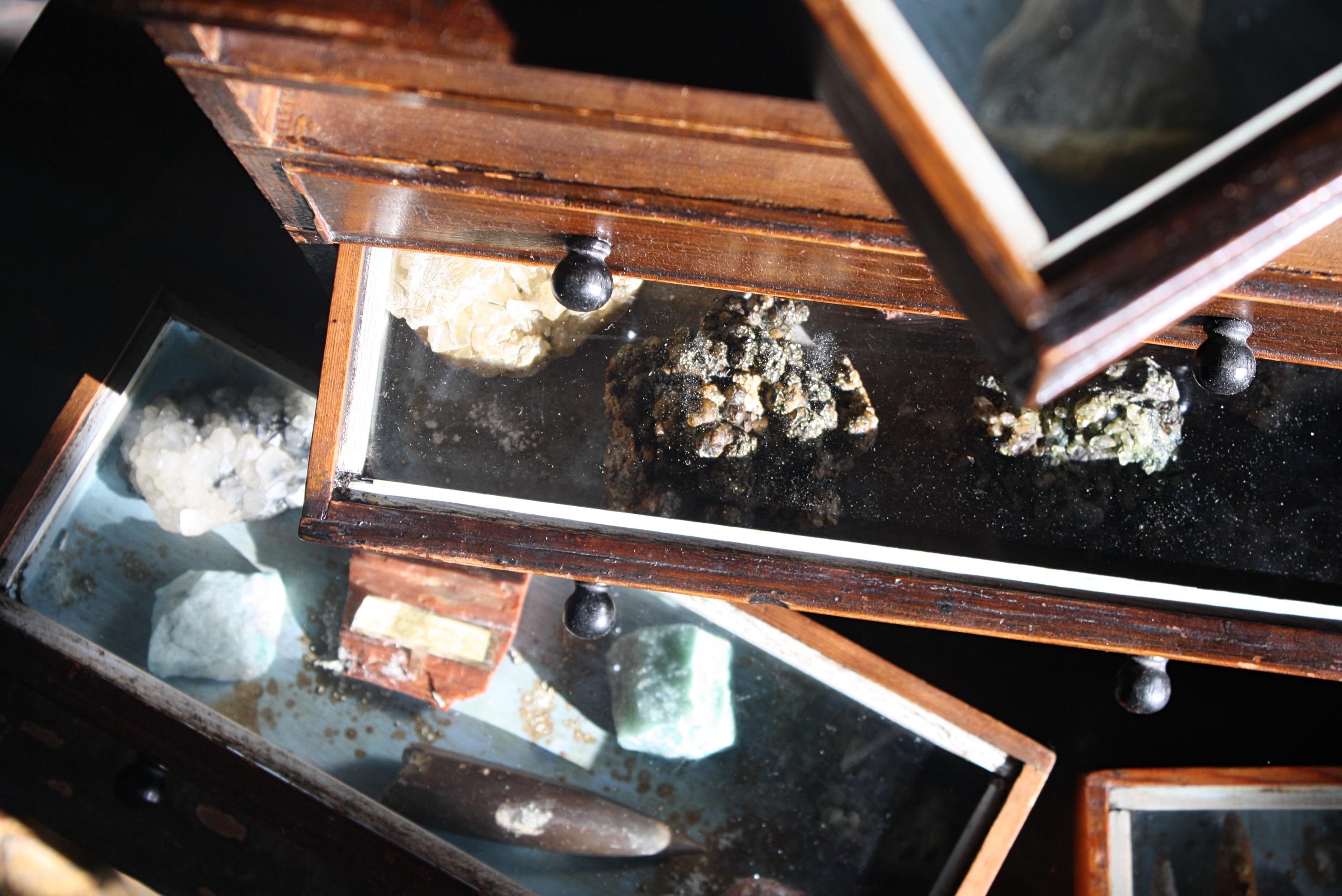 A charming and untouched table top collectors chest, oversailing rectangular top above two short and three long graduated glazed collector's drawers, each enclosing a arrangement of geological and mineral samples, turned ebonised handles and a