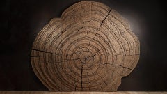 Depths of Antiquity Wanddekoration von TOR-Design