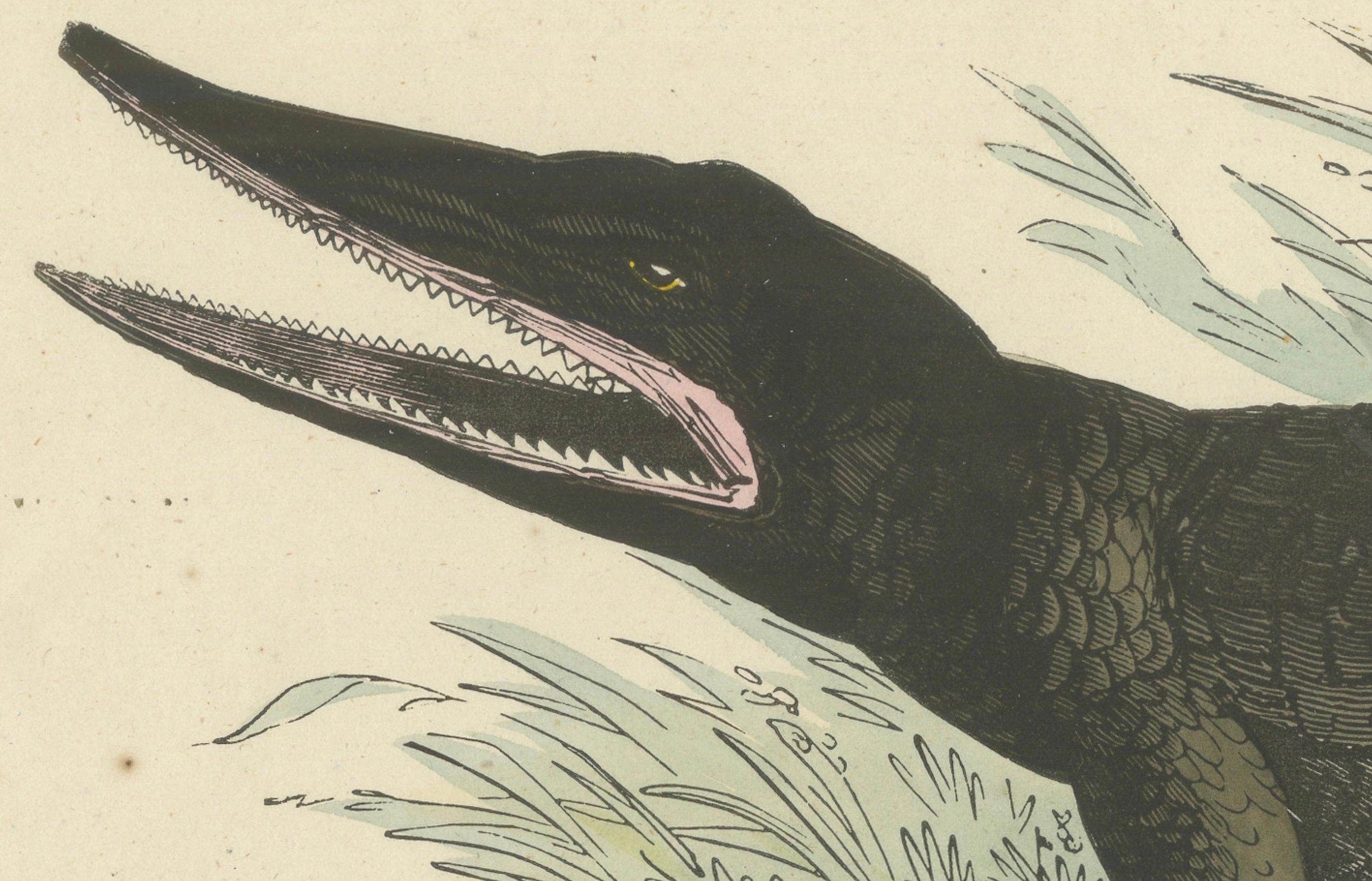 Der gemeine Kaiman (Common Caiman) – handkolorierter Zoologischer Druck, um 1840 im Zustand „Gut“ im Angebot in Langweer, NL
