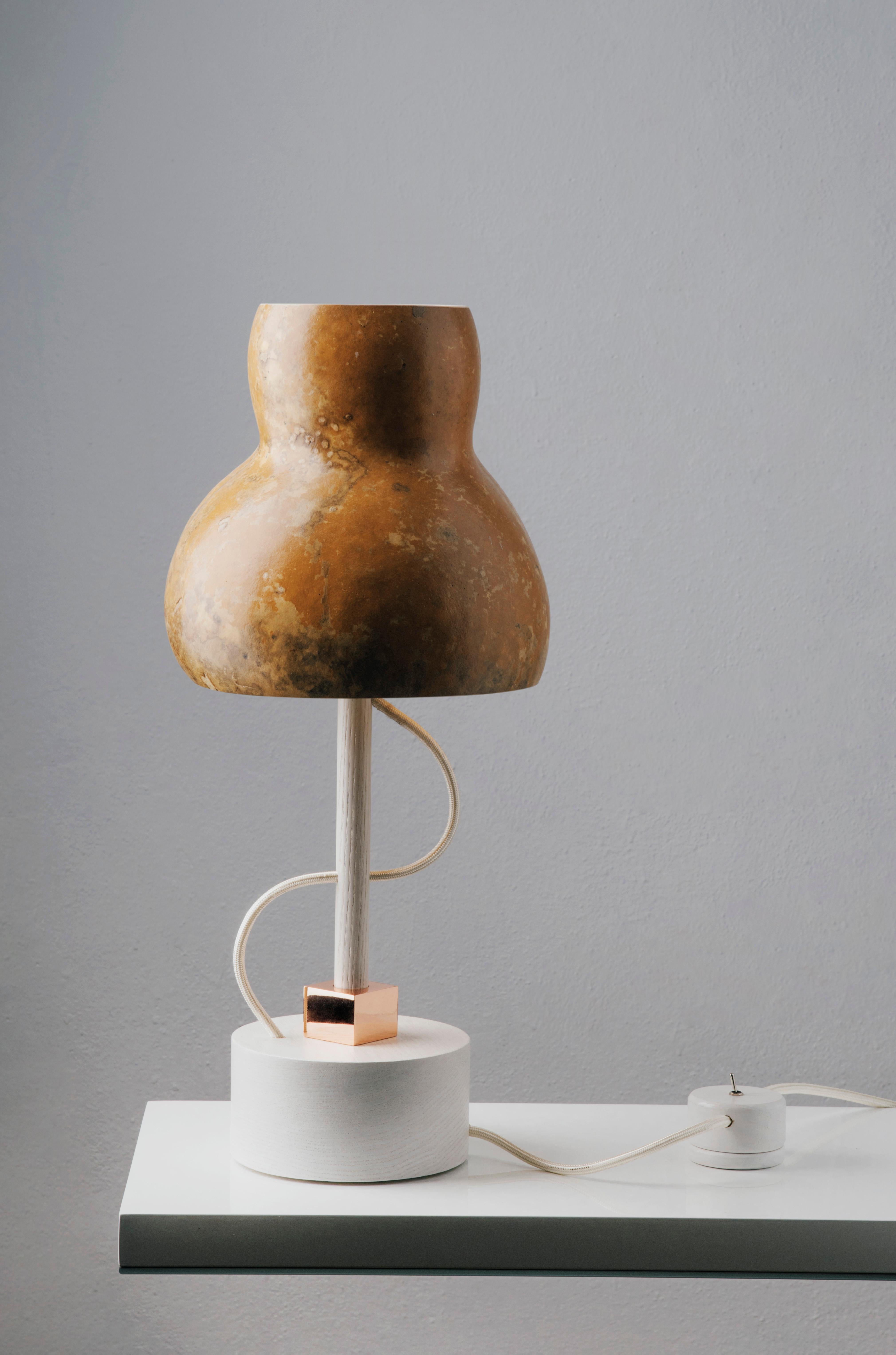 The desk lamp takes shapes from the animal and plant world. The lampshade in Lagenaria dried pumpkin, with its unique veining, together with the rounded ash wood base, brings to mind a typical inhabitant of the undergrowth.
The coloured fabric