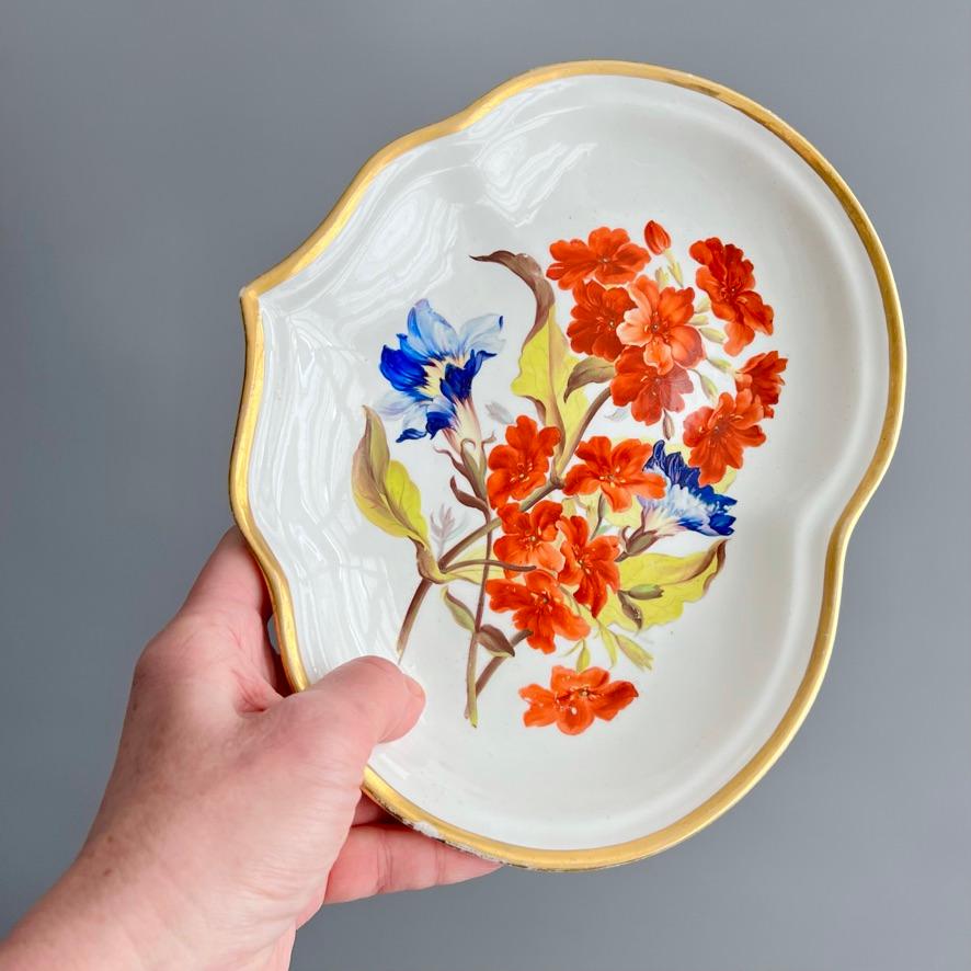 Plato Derby Kidney, William Quaker Pegg, Lychnis escarlata y Gentianella, c1814 Regencia en venta