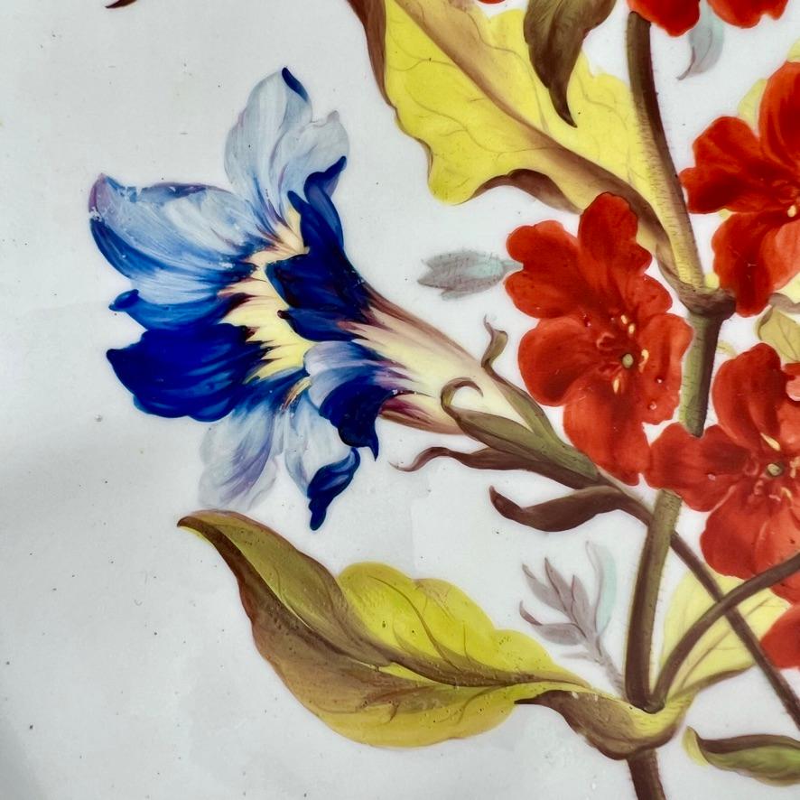 Plato Derby Kidney, William Quaker Pegg, Lychnis escarlata y Gentianella, c1814 Inglés en venta