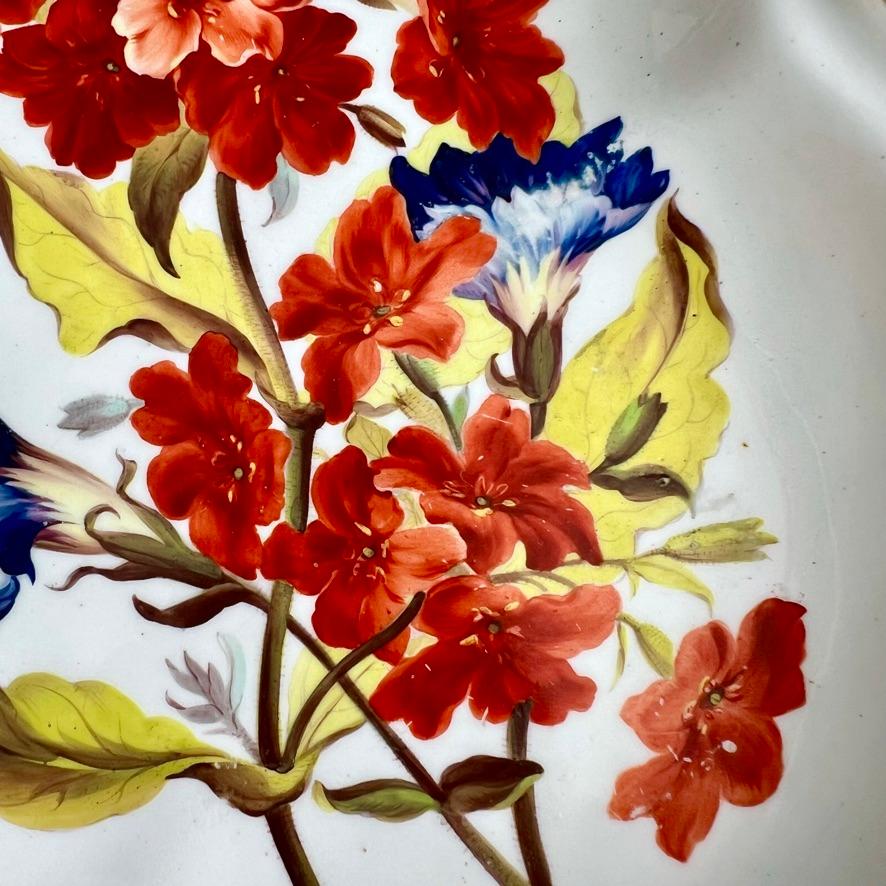 Plato Derby Kidney, William Quaker Pegg, Lychnis escarlata y Gentianella, c1814 Pintado a mano en venta