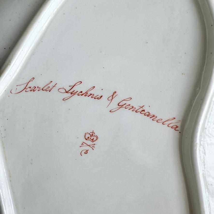 Plato Derby Kidney, William Quaker Pegg, Lychnis escarlata y Gentianella, c1814 en venta 1