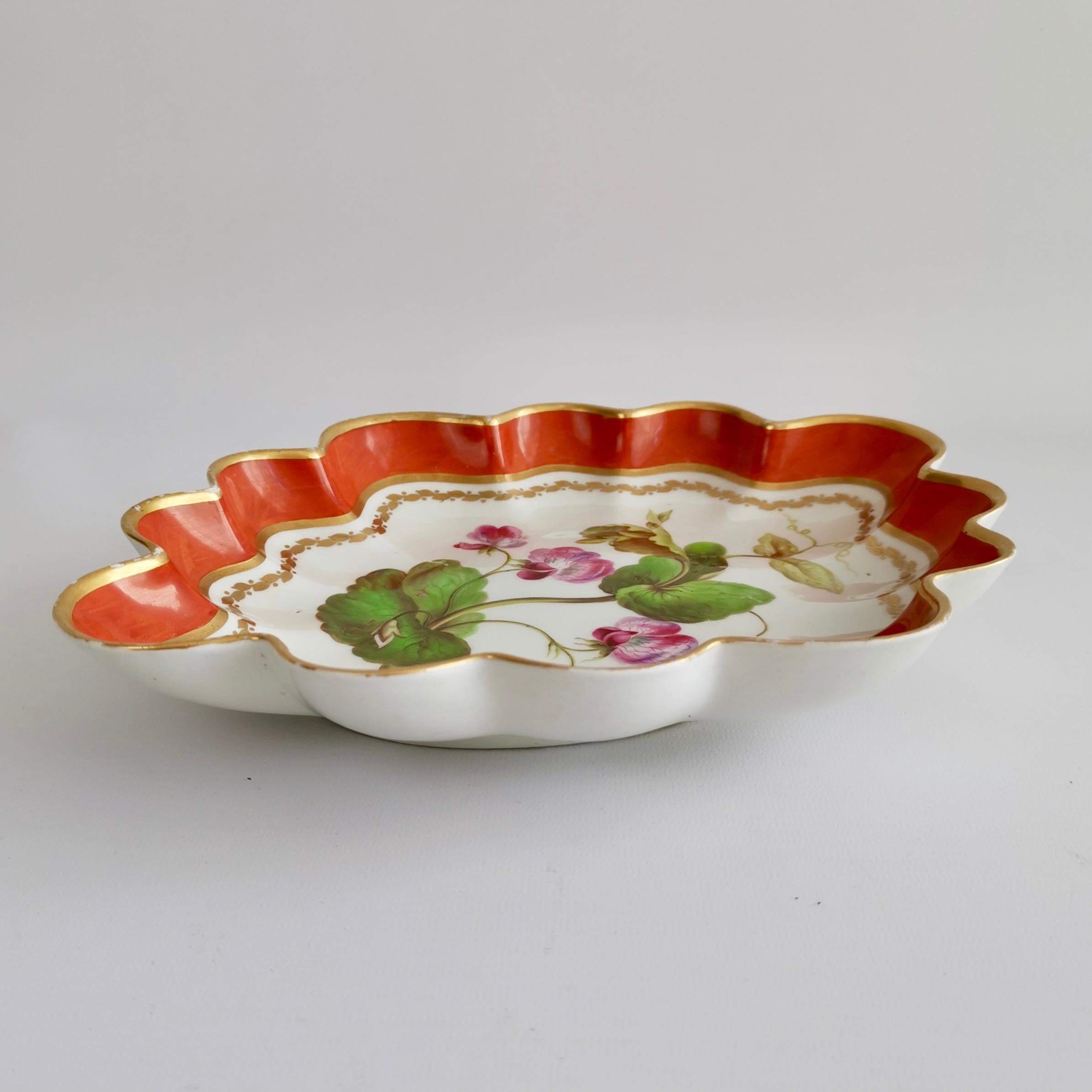 Derby Lobed Porcelain Dish, Red with Botanical Painting John Brewer, 1795-1800 3