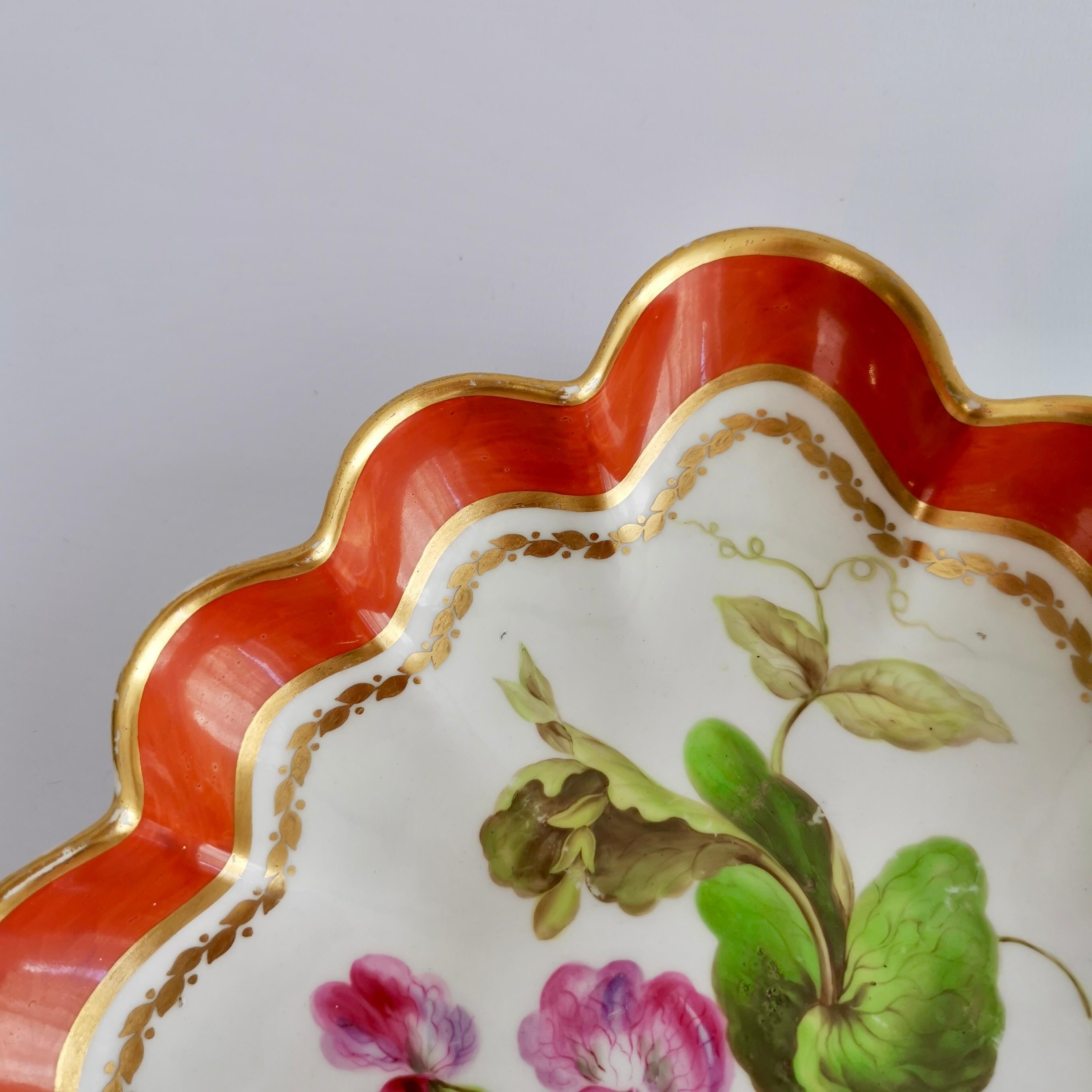 English Derby Lobed Porcelain Dish, Red with Botanical Painting John Brewer, 1795-1800