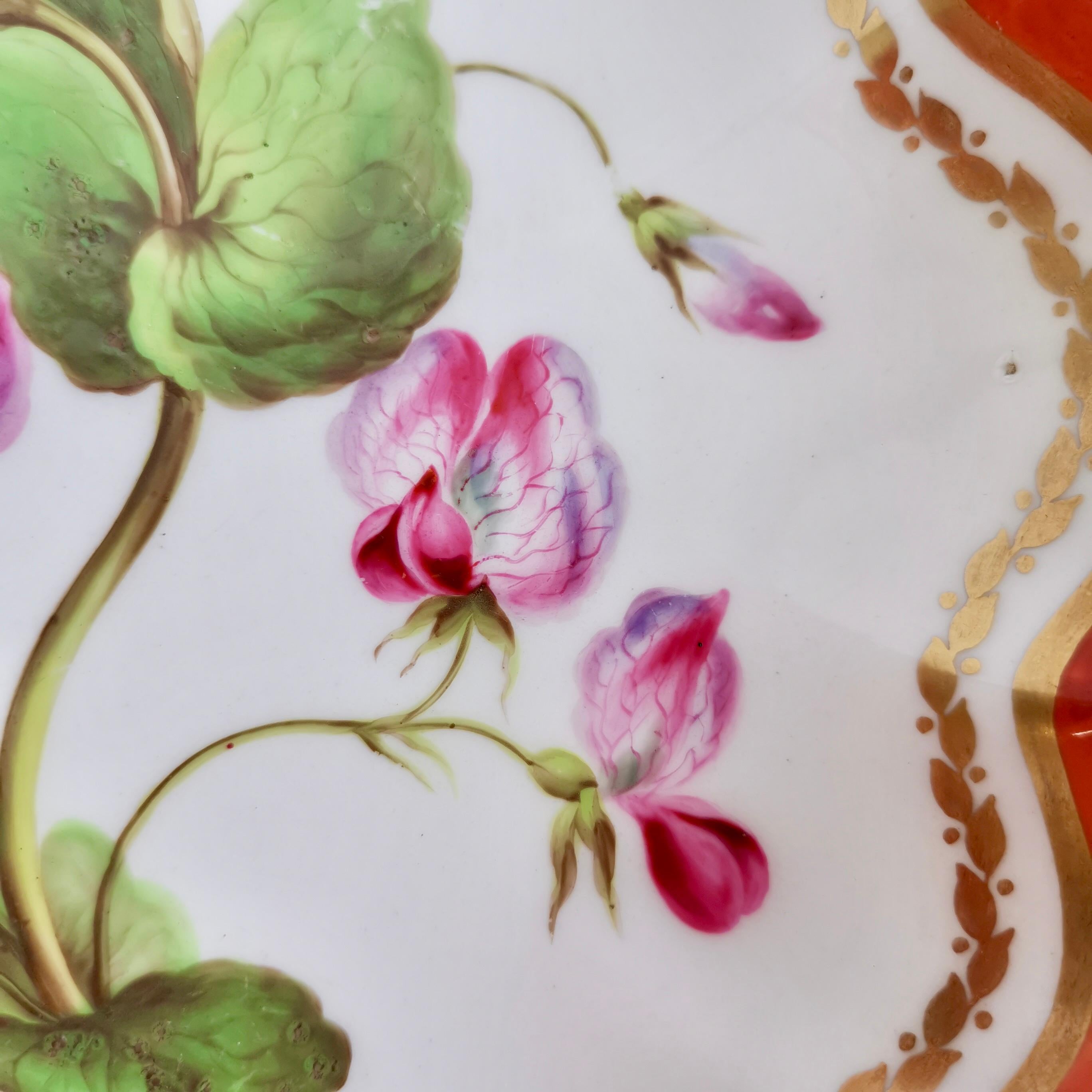 Hand-Painted Derby Lobed Porcelain Dish, Red with Botanical Painting John Brewer, 1795-1800