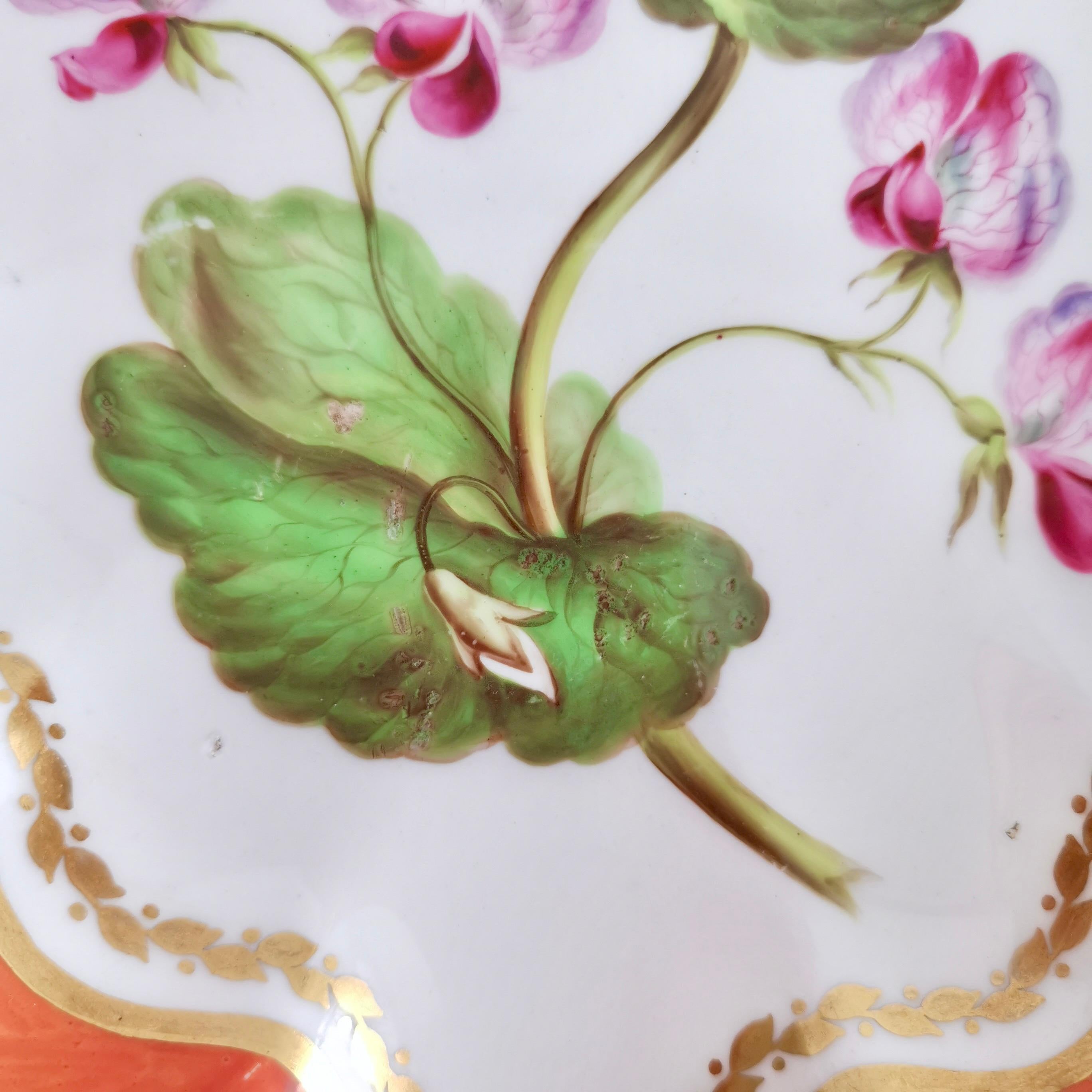 Derby Lobed Porcelain Dish, Red with Botanical Painting John Brewer, 1795-1800 1