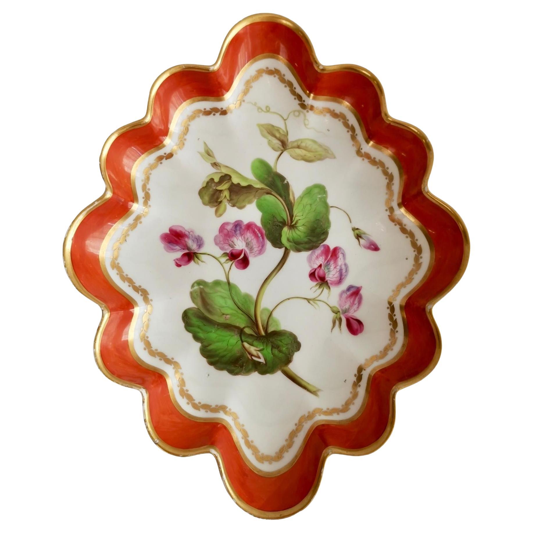 Derby Lobed Porcelain Dish, Red with Botanical Painting John Brewer, 1795-1800