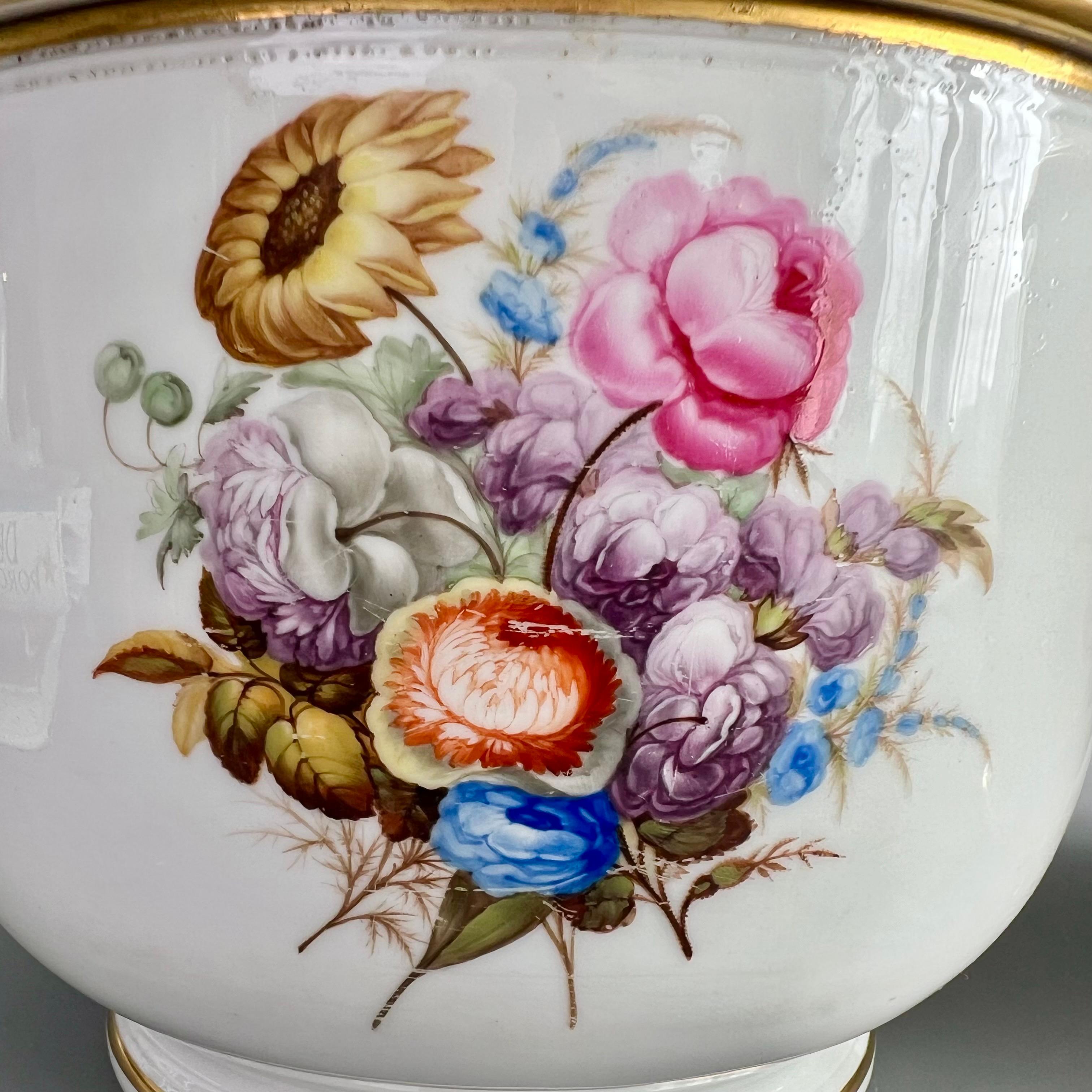 Pareja de cubiteras de porcelana Derby, Flores finas de William Billingsley, hacia 1790 Porcelana en venta