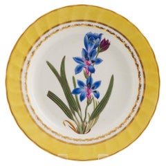 Derby Porcelain Botanical Dessert Plate Pattern 216 with Babiana Stricta