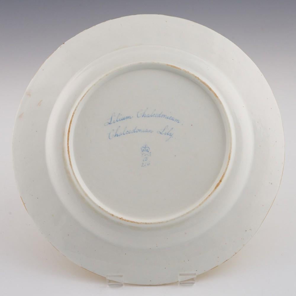 English Derby Porcelain Botanical Dessert Plate Pattern 216 with Chalcedonian Lily For Sale