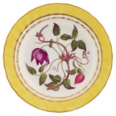 Antique Derby Porcelain Botanical Dessert Plate Pattern 216 with Clematis c1800