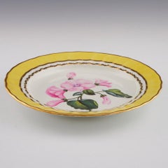 Derby Porcelain Botanical Dessert Plate Pattern 216 with Rose Mallow
