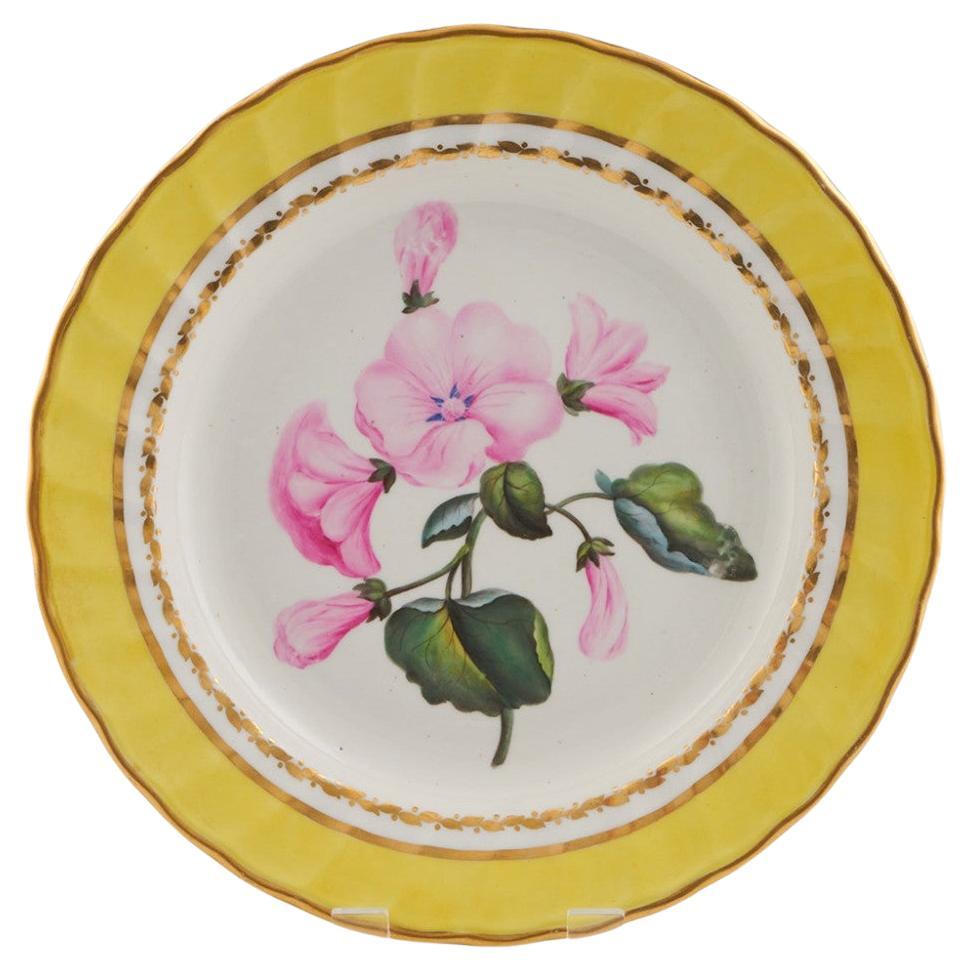 Derby Porcelain Botanical Dessert Plate Pattern 216 with Rose Mallow 