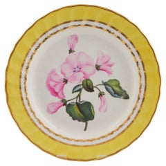 Antique Derby Porcelain Botanical Dessert Plate Pattern 216 with Rose Mallow 