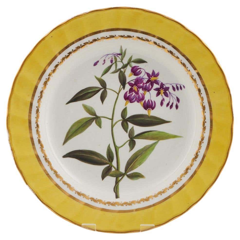 Derby Porcelain Botanical Dessert Plate Pattern 216 with Wood Night ...