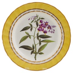 Derby Porcelain Botanical Dessert Plate Pattern 216 with Wood Night Shade
