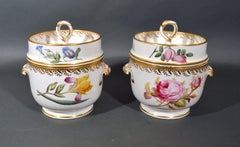 Derby Porcelain Botanical Dessert Service Including Pair of Fruit Coolers
