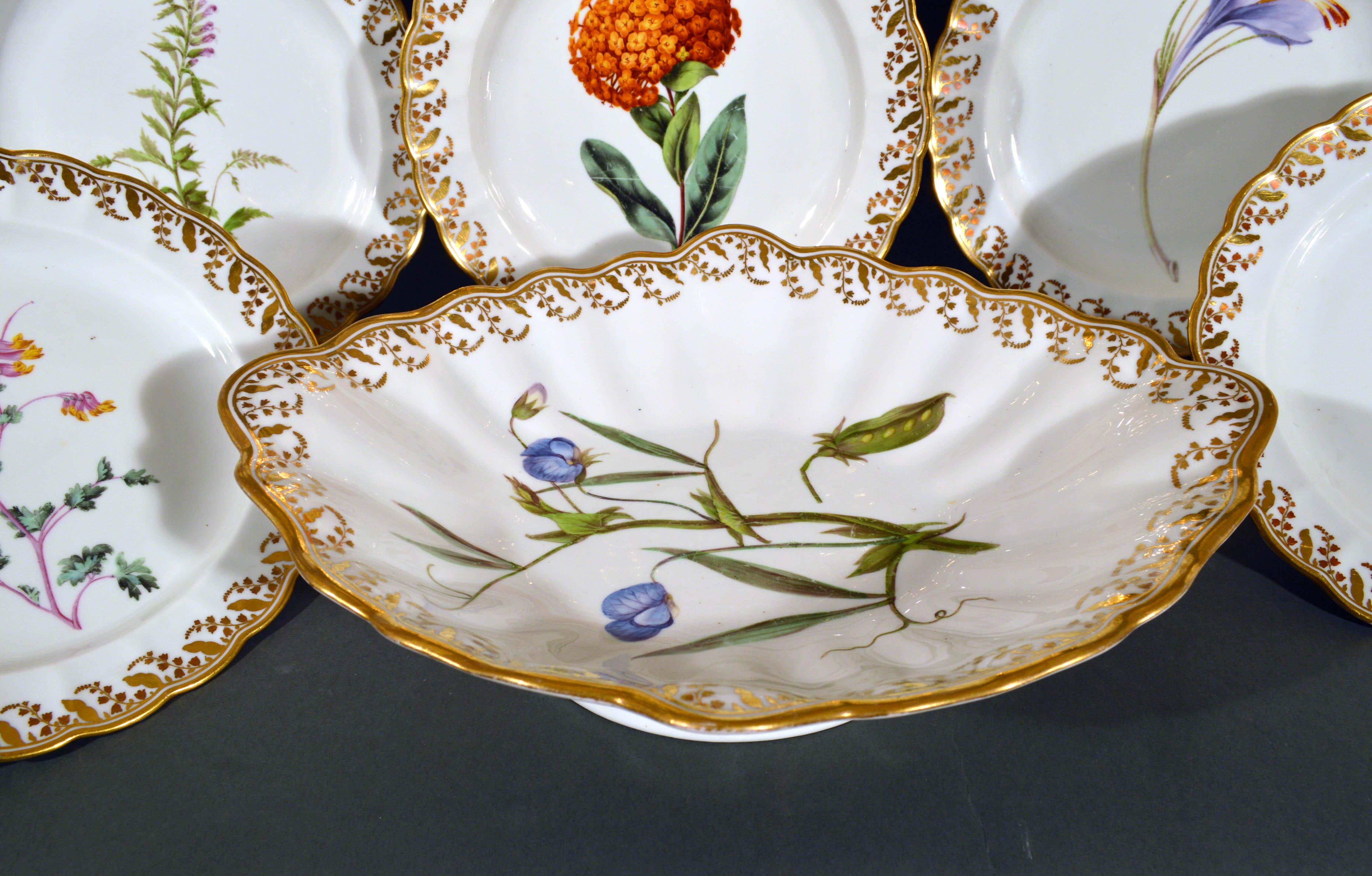 Derby Porcelain Botanical Dessert Service Including Pair of Fruit Coolers In Good Condition In Downingtown, PA