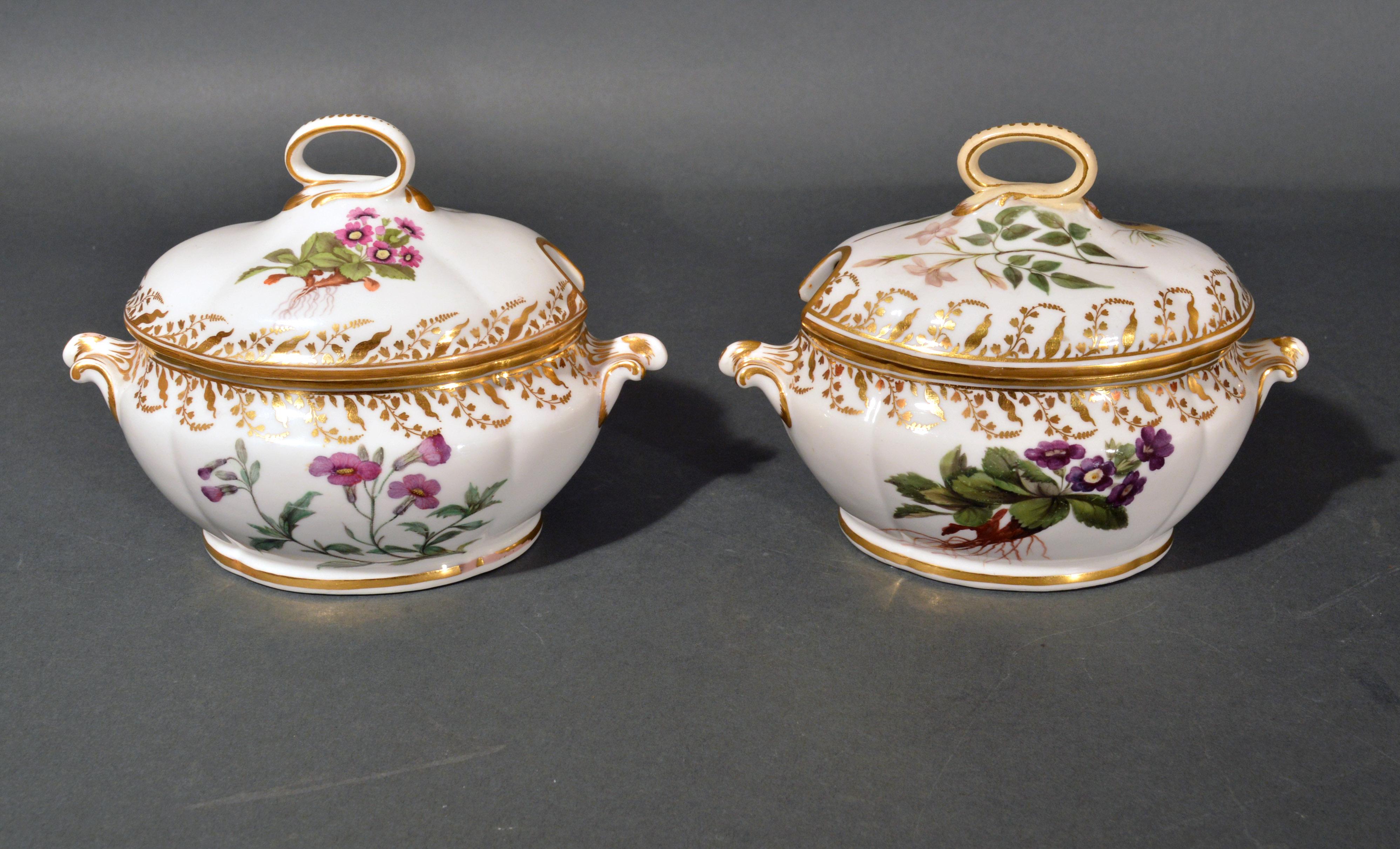 18th Century Derby Porcelain Botanical Dessert Service Including Pair of Fruit Coolers