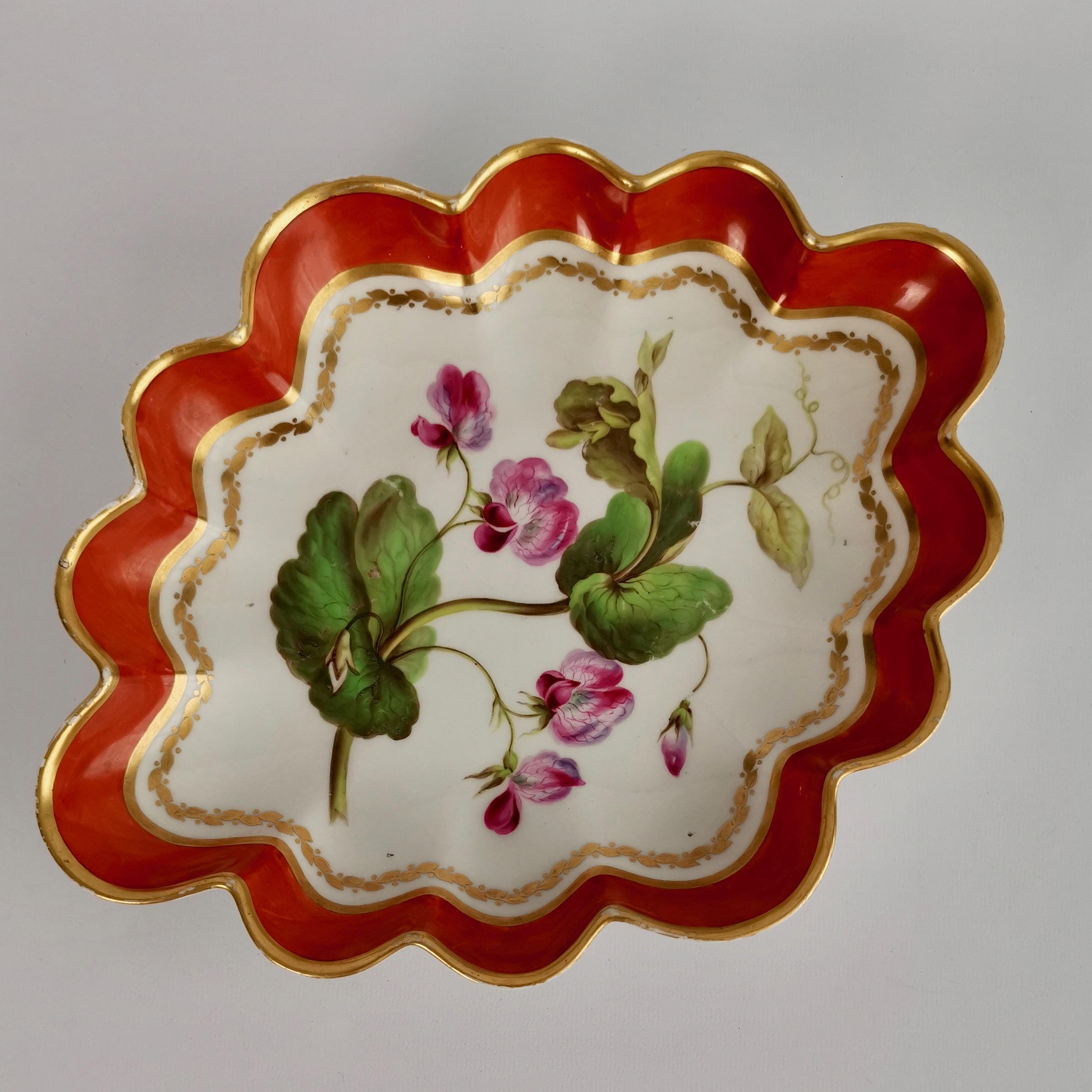 Derby Porcelain Dessert Service Red Botanical Attr. to John Brewer, Regency 1795 For Sale 4