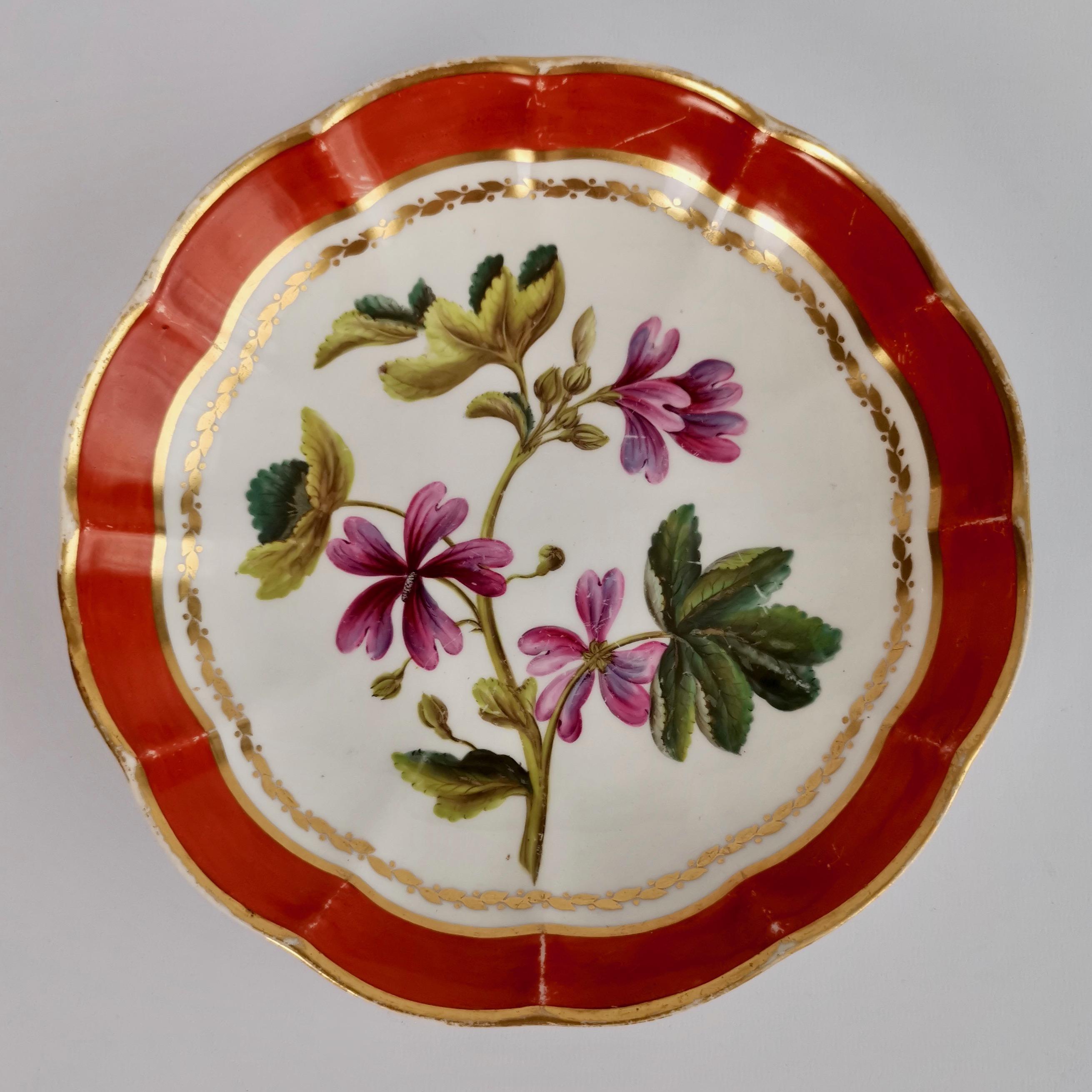 Derby Porcelain Dessert Service Red Botanical Attr. to John Brewer, Regency 1795 For Sale 5