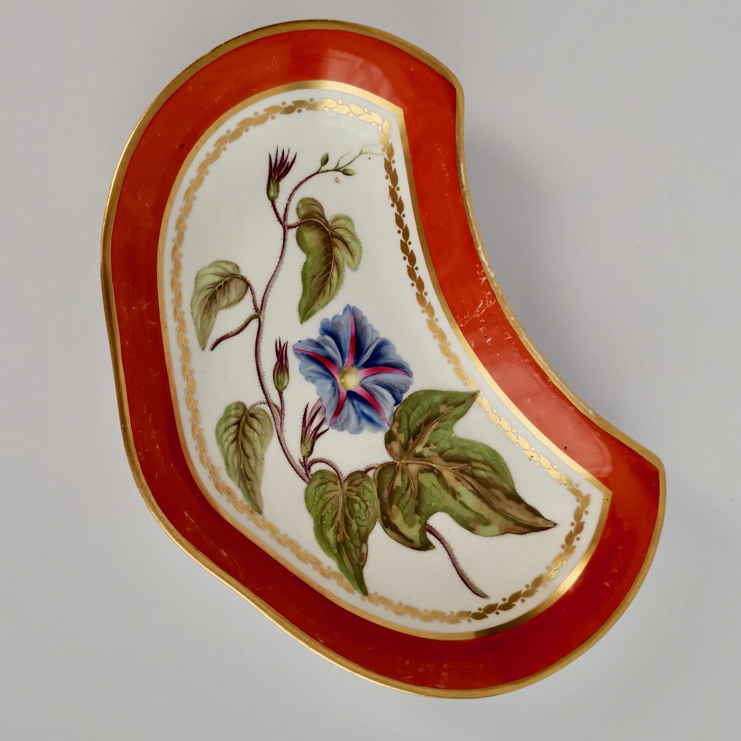 Derby Porcelain Dessert Service Red Botanical Attr. to John Brewer, Regency 1795 For Sale 6