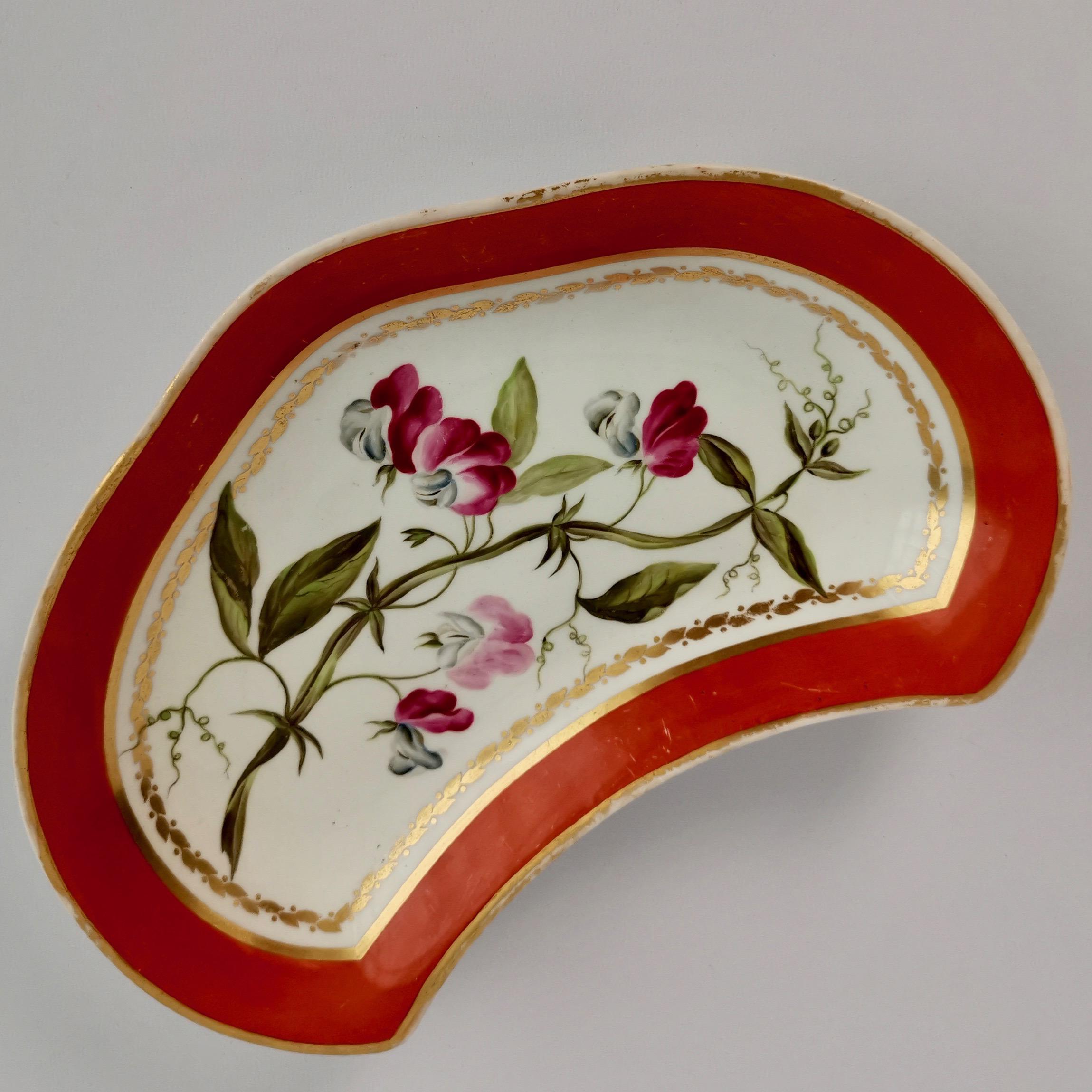 Derby Porcelain Dessert Service Red Botanical Attr. to John Brewer, Regency 1795 For Sale 7