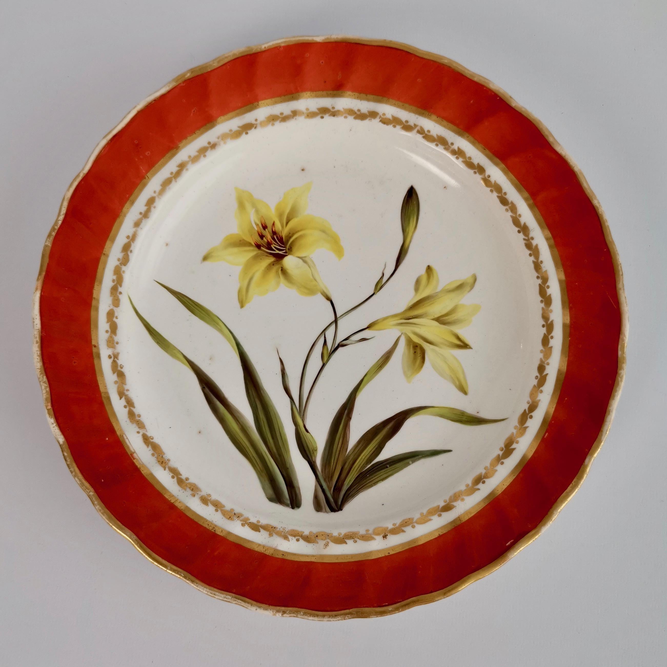 Derby Porcelain Dessert Service Red Botanical Attr. to John Brewer, Regency 1795 For Sale 8